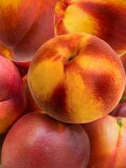 Fruit fresh a peach and apricot hybrid