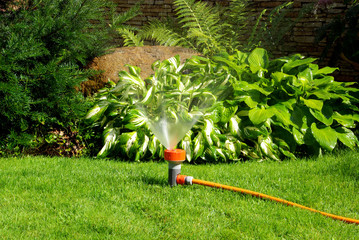 watering sprinkler