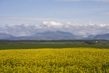 View to Snowdonia