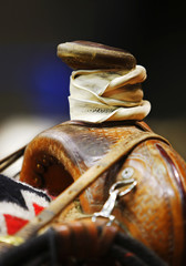 Western Roping Saddle Horn