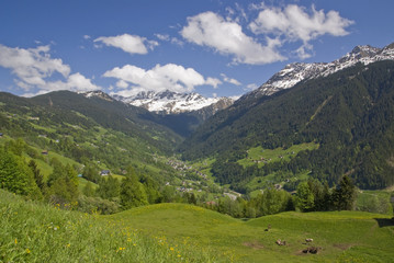 Fototapeta premium Blick ins Silbertal