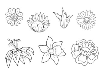 Blumen und Florales Design