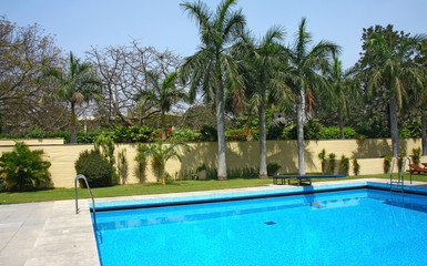 swimming pool under the palm tree