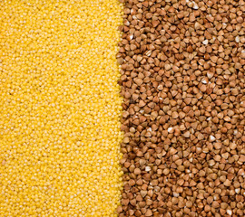 Buckwheat and millet background