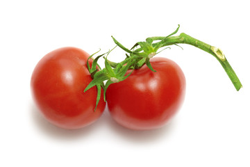 tomatoes