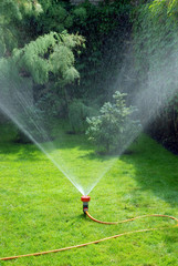 sprinkler