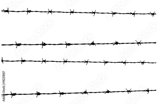 Amazon.it: filo spinato militare