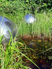 gartenteich