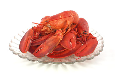 Fresh cooked lobsters