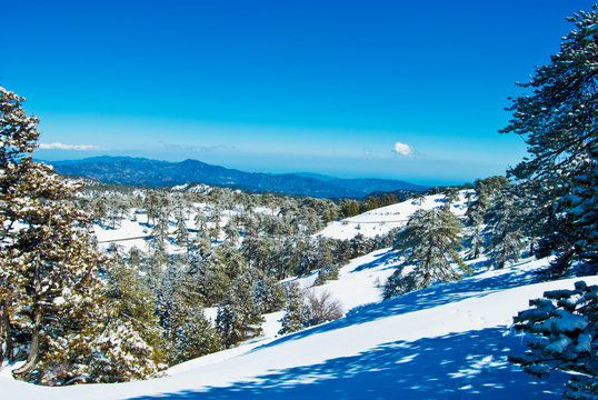 Cyprus trodos mountains, a landscape of wild nature