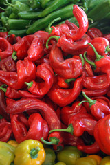 Pimientos en tres colores