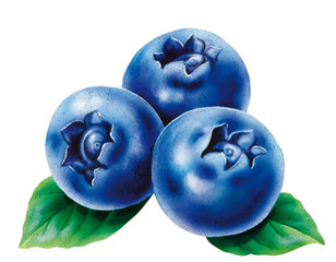 Blaubeeren