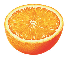 halbe Orange