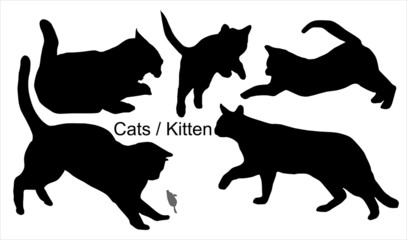 Katzen © Kathrin Hemkendreis