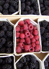 Rote und schwarze Himbeeren auf dem Wochenmarkt
