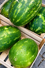 Wassermelonen auf dem Markt