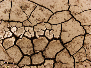 Cracks soil