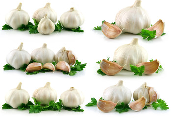 Collectiion of Garlic Vegetable with Green Parsley