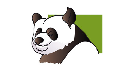 tête panda