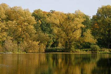 Fototapeta na wymiar Mühlenteich im Herbst, Gerogsmarienhütte, Germany