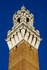 Siena, la Torre del Mangia 1 - obrazy, fototapety, plakaty