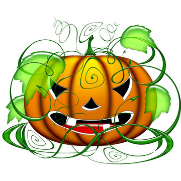 Zucca-Halloween Pumpkin-Citrouille 2