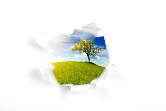 summer landscape behind wall hole