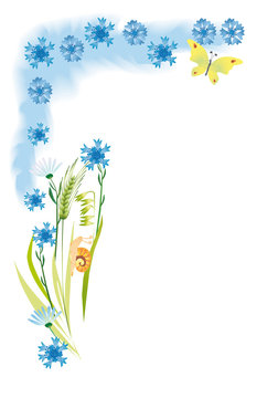 Summer background with corn-flowers