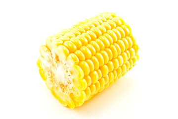 Maize Section