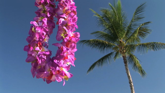 Traditional Hawaiian lei on the beach, Big Island of Hawaii.