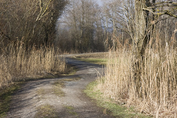 der weg