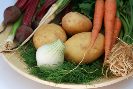 Fresh and young vegetables