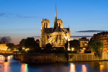 Fototapeta na wymiar Notre Dame de Paris. Nocny widok. Tył