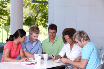 Group of happy students studying