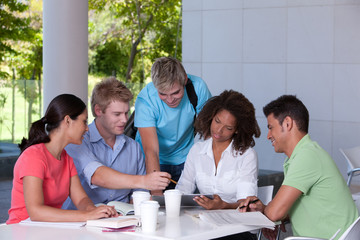 Group of happy students studying