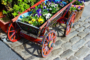 Fototapeta na wymiar flowers in a small buggy