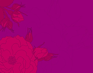 Background with rose design