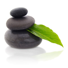 Composition zen minéral et végétal