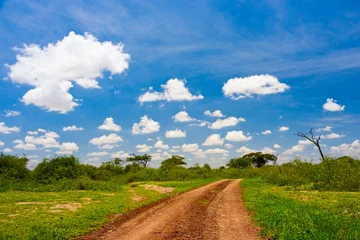 Dirt Road