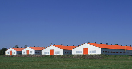 Modern farm