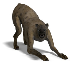 hyena