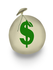 Bag of Dollars