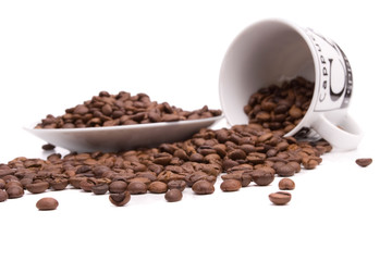 Cup and coffee beans