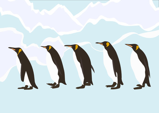 Penguins walking in ice