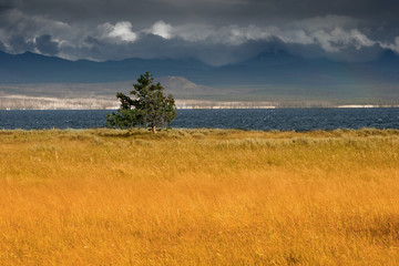 YELLOWSTONE PARK,WYOMING_USA