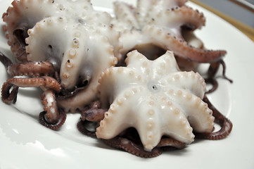 Octopuses on plate. Traditional  Mediterranean food.