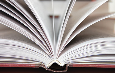 Fragment of the open book against other books