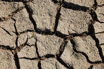 dry soil