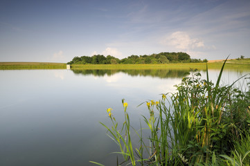 View of the dam
