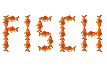 FischText